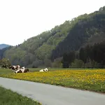 招待所 祖迪麦塔尔旅馆 马尔斯贝格
