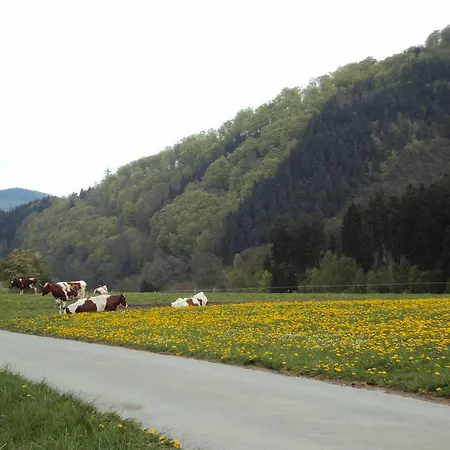 Gæstehus Zum Diemeltal Marsberg