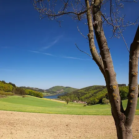 Gasthof Zum Diemeltal Guest house Marsberg