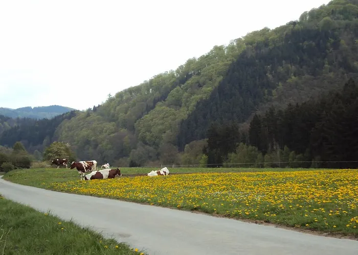 Gæstehus Zum Diemeltal Marsberg